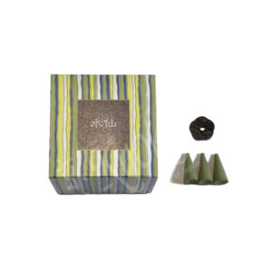 38417 : Kayuragi 12 Cones Narcissus