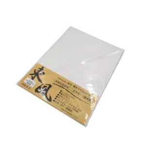 65-220 : 100 Bogen Reispapier, geschnitten 24,2 x 33,3 cm