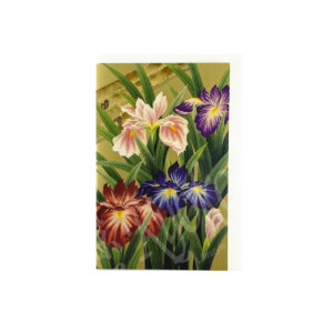 65-613 : Briefkarte Iris 14x18 cm