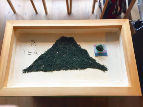 TEEVERKOSTUNG Okt. 2023