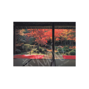 65-260a : Postkarte Photo Enkoji Tempel