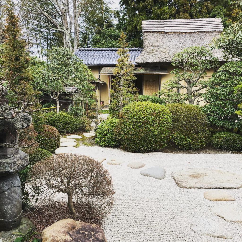 画像に alt 属性が指定されていません。ファイル名: blog_matucha_fumai_2-1024x1024.jpg